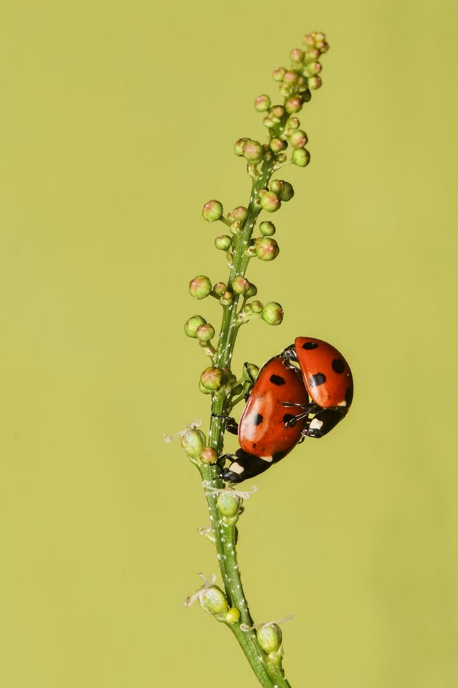 Photograph by ARUNAVA DEY