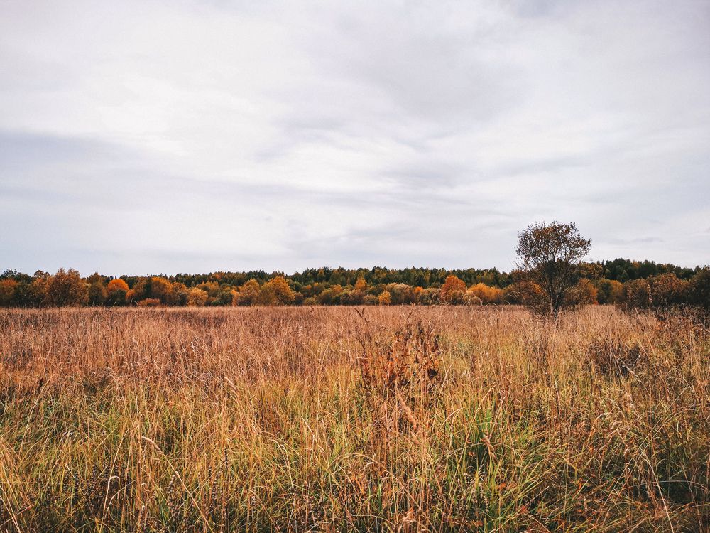 Photograph by Марина Копылова