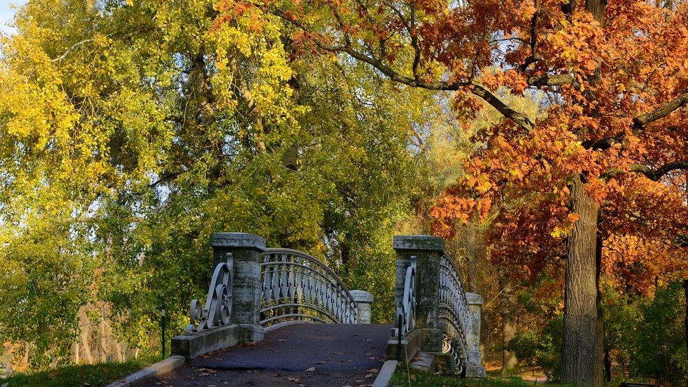 Дорога в осень...