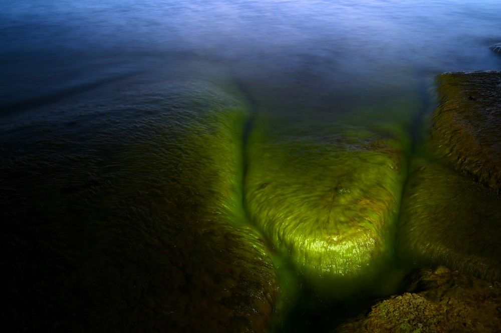 Photograph by Ija Reiman