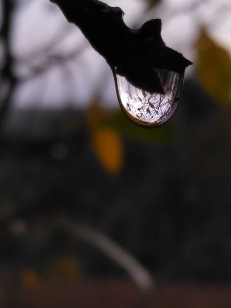 Photo #8216661