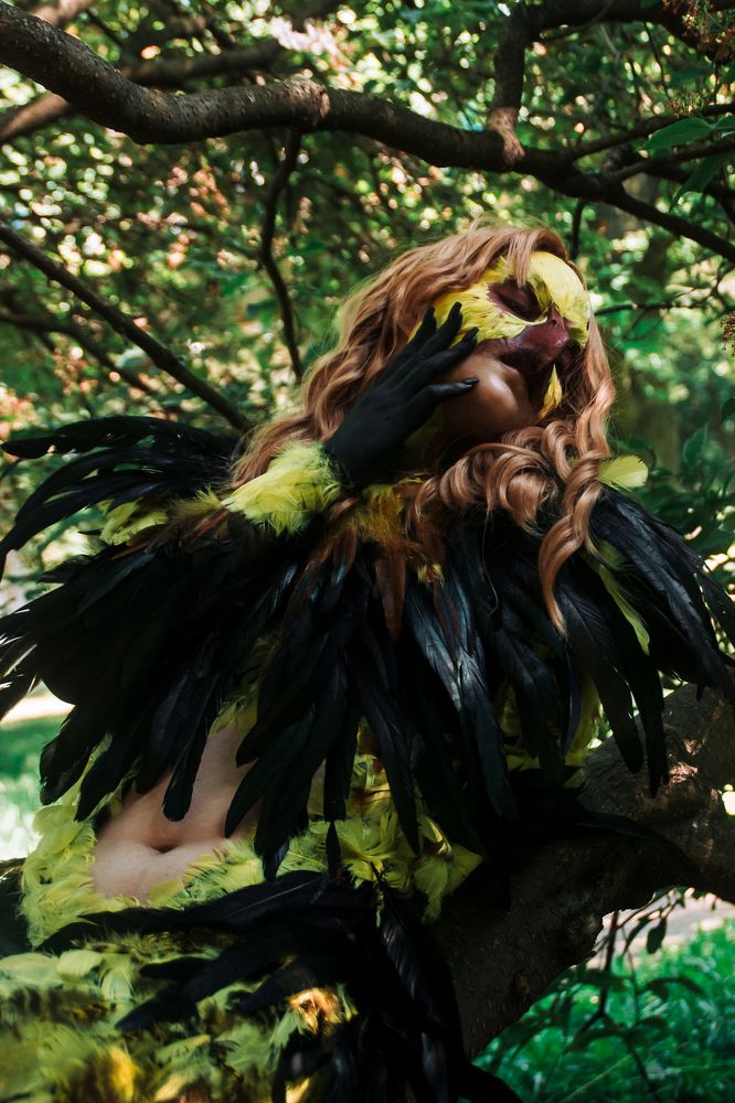 Вивиенна де Табрис