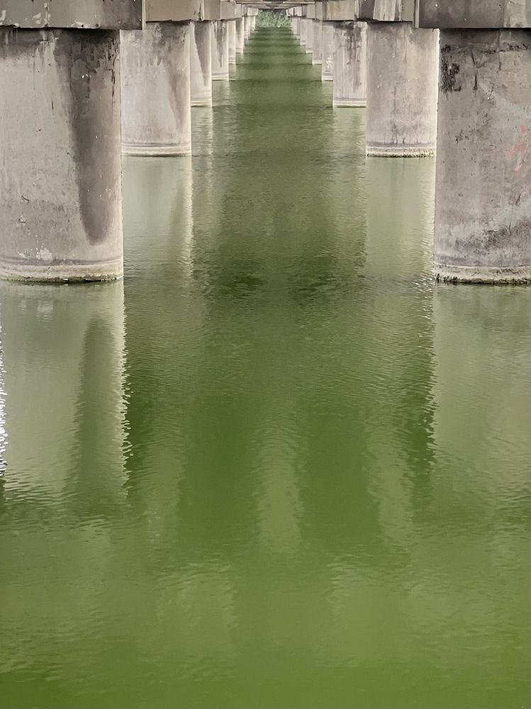 Photograph by Светлана Ткаченко