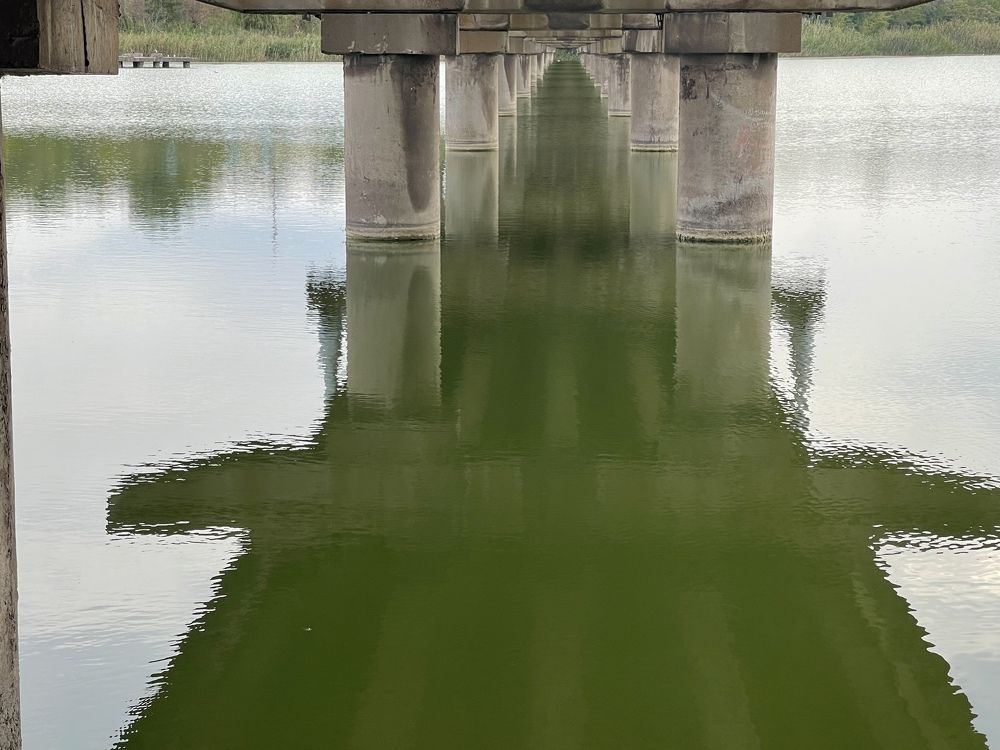 Photograph by Светлана Ткаченко