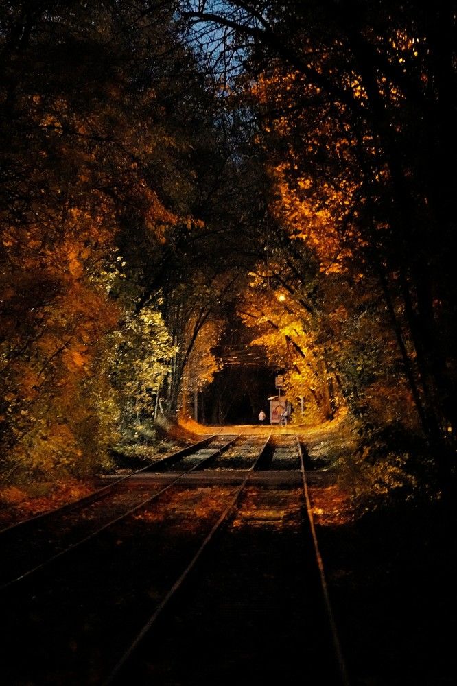 Photograph by Павел