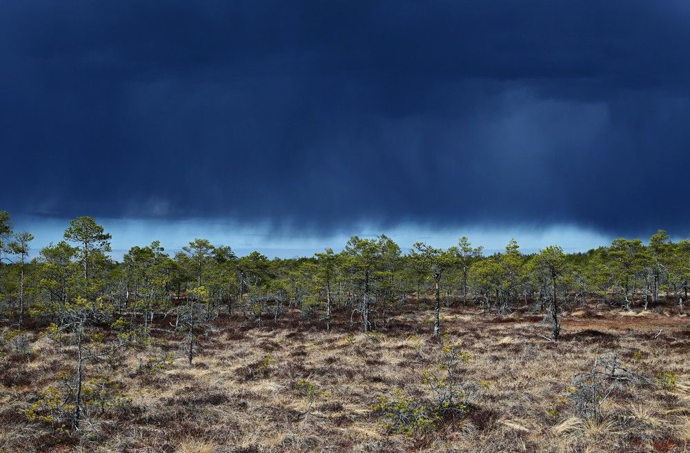 Photograph by Ija Reiman