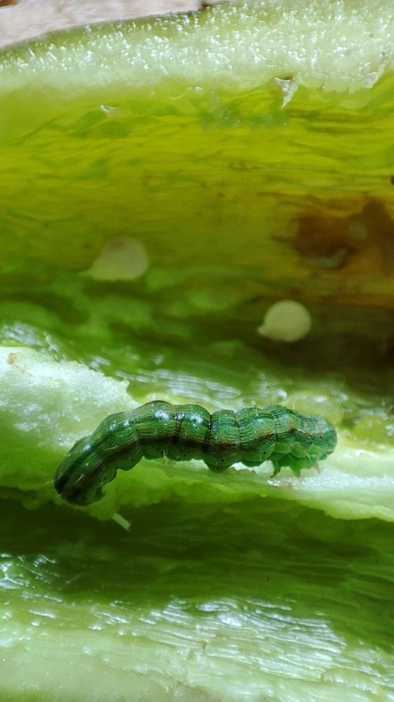 Photograph by Татьяна Рябова