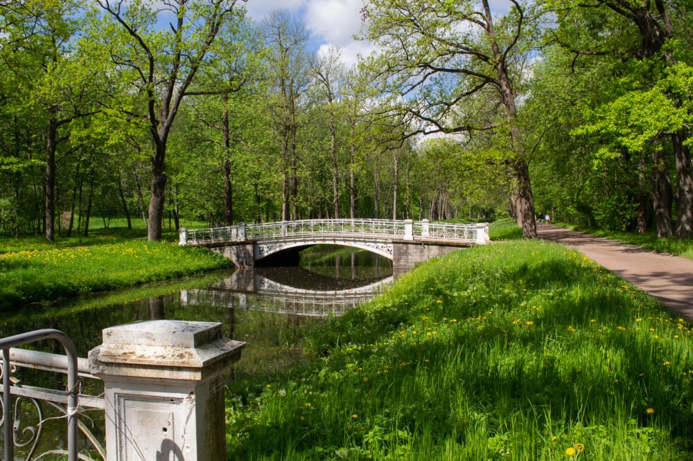 Photograph by Olga Smirnova