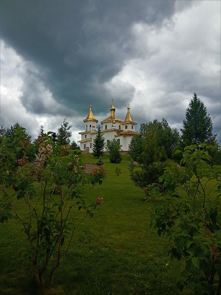Фотография автора Татьяна Шахова