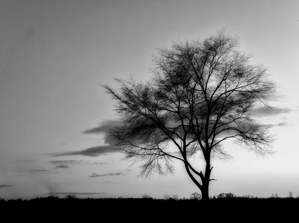 Photograph by Даниил Марков