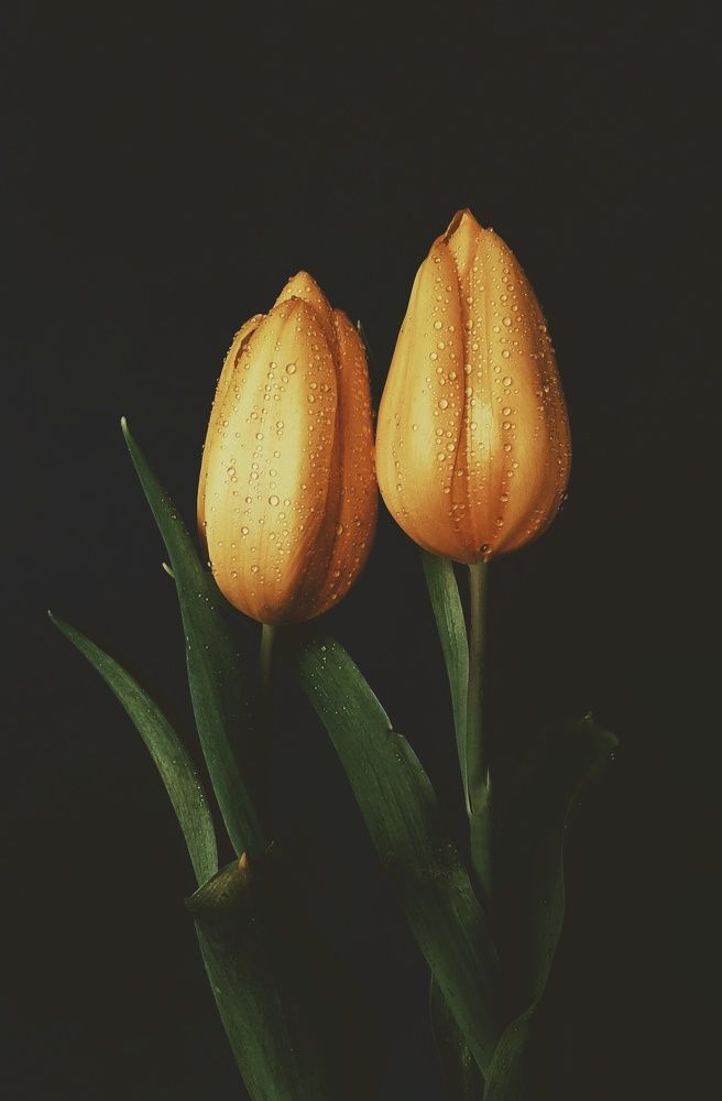 Photograph by NGUYEN LIEN