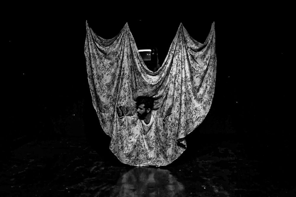 Photograph by pegah pouresmaeil