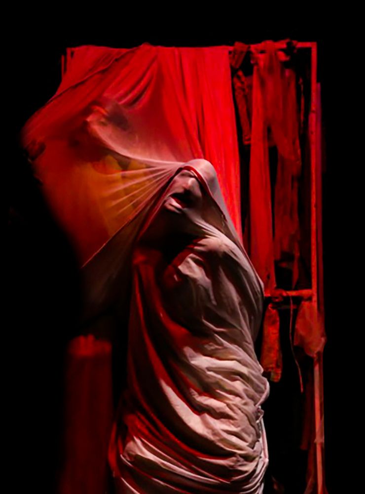 Photograph by pegah pouresmaeil