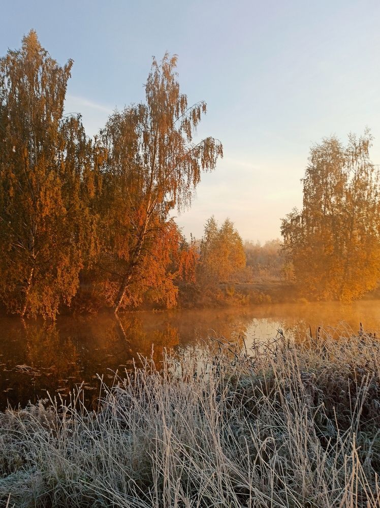 Photograph by Eлена Смирнова