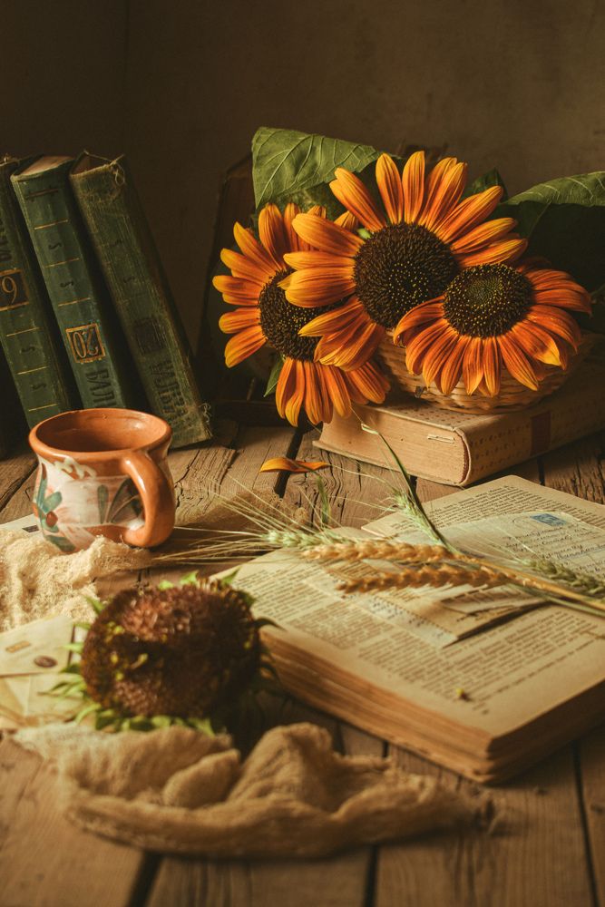 Vintage sunflowers