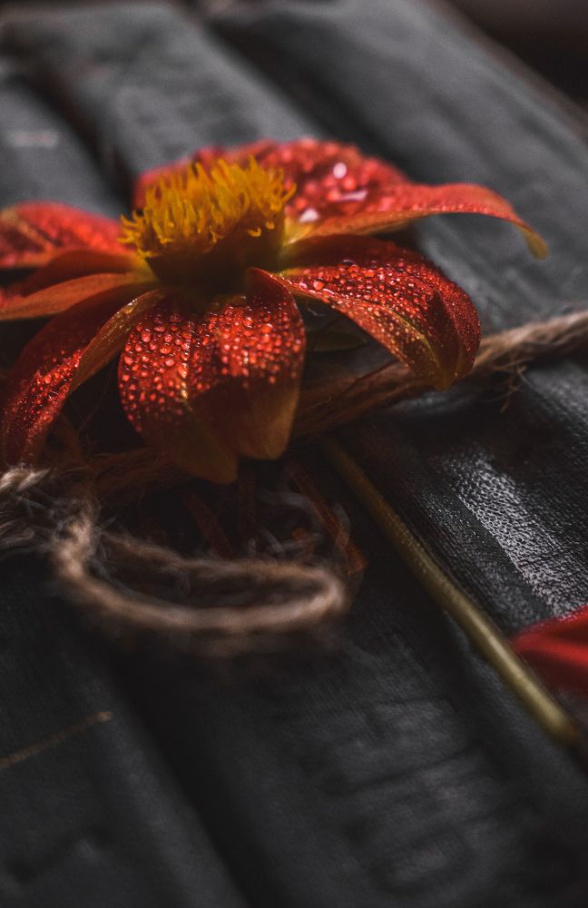 Photograph by Анна Федотова