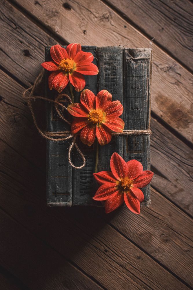 Photograph by Анна Федотова