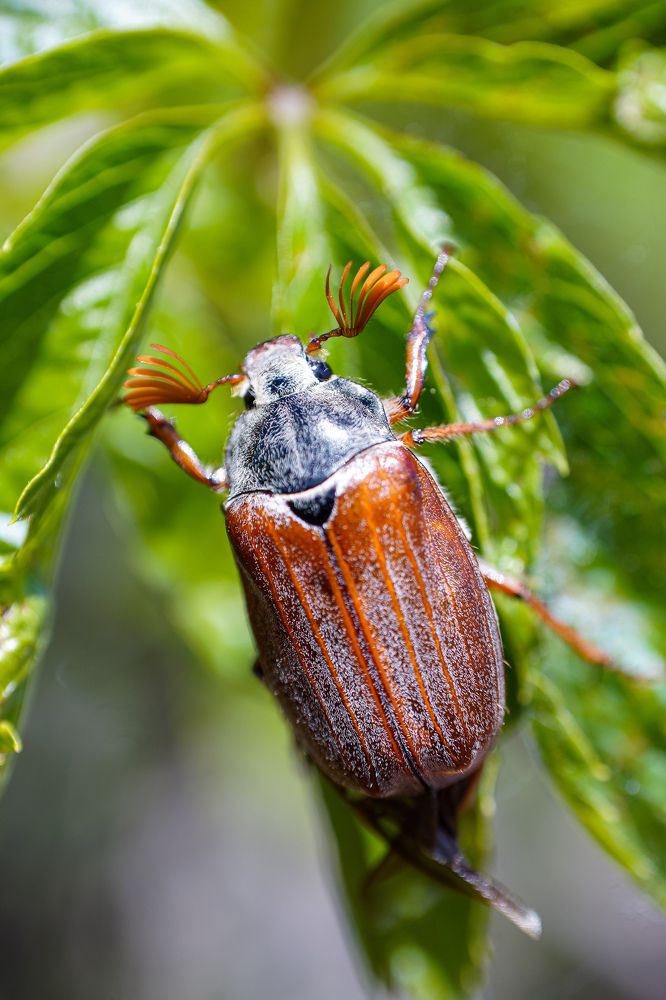 Photograph by Александр Казак