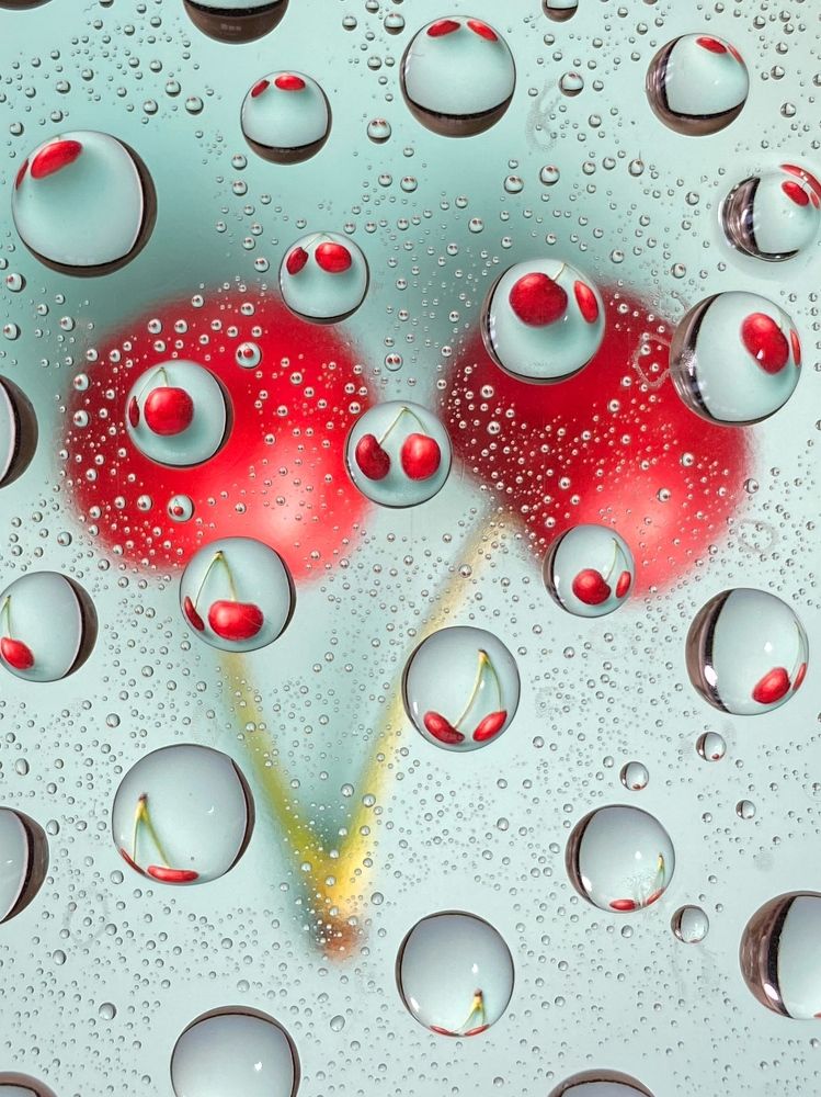 Photograph by Екатерина Бердутина