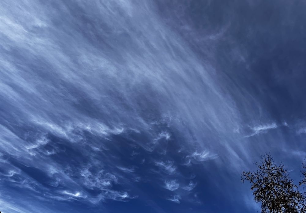 Photograph by Елена Мизина