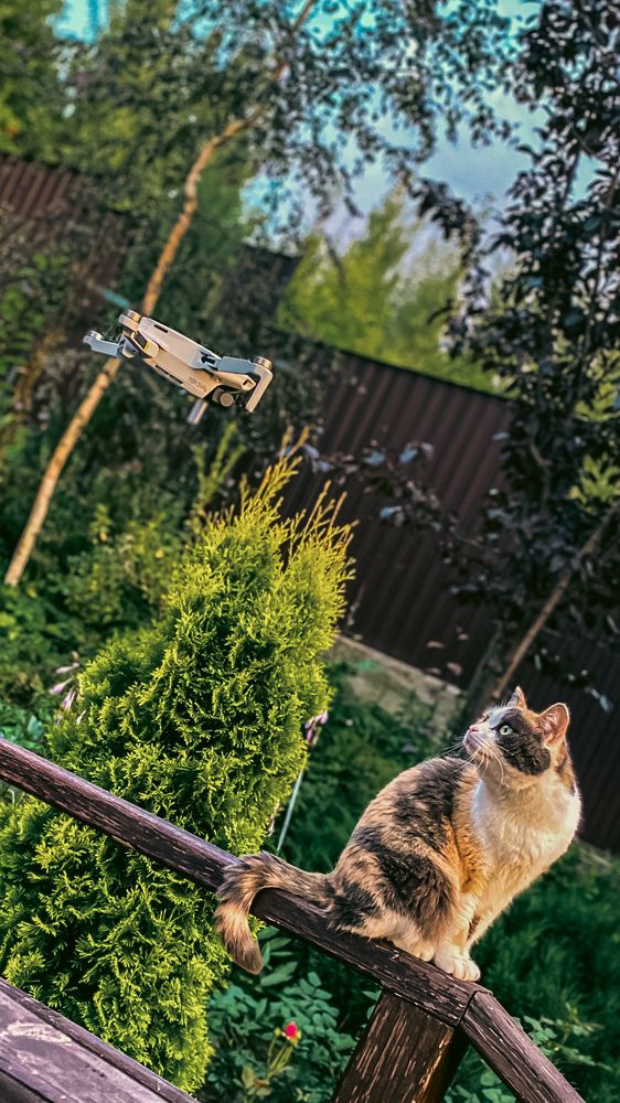 Photograph by Денис Бочаров