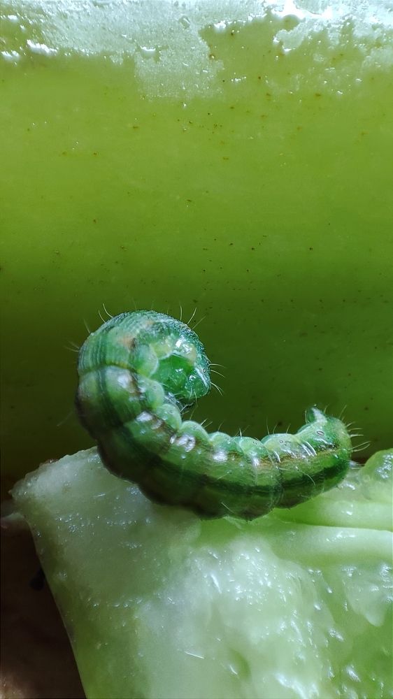 Photograph by Татьяна Рябова