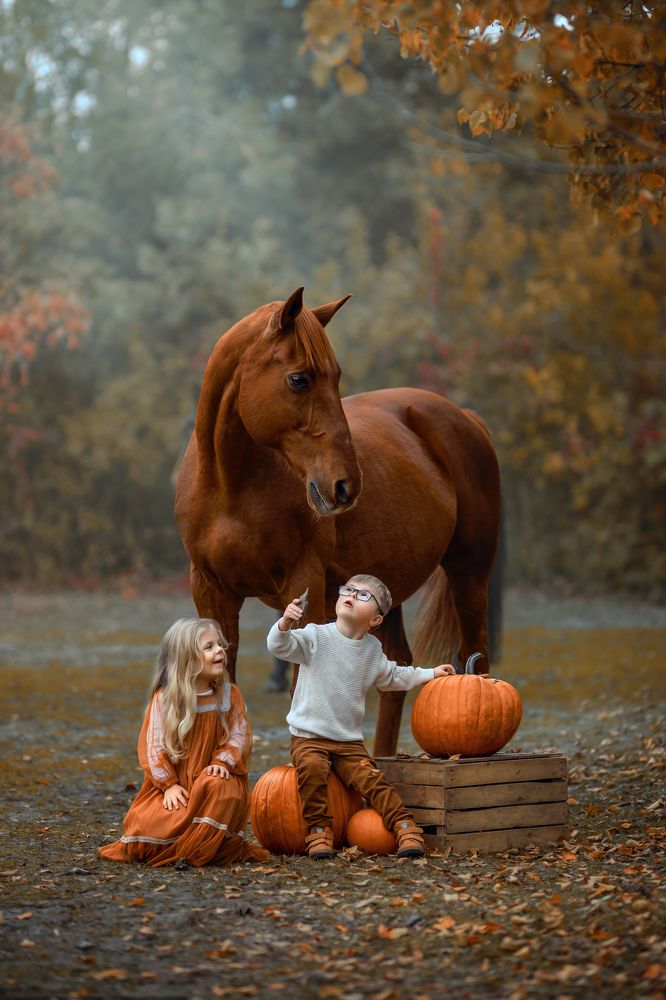 Фотография автора Kasia Kapała