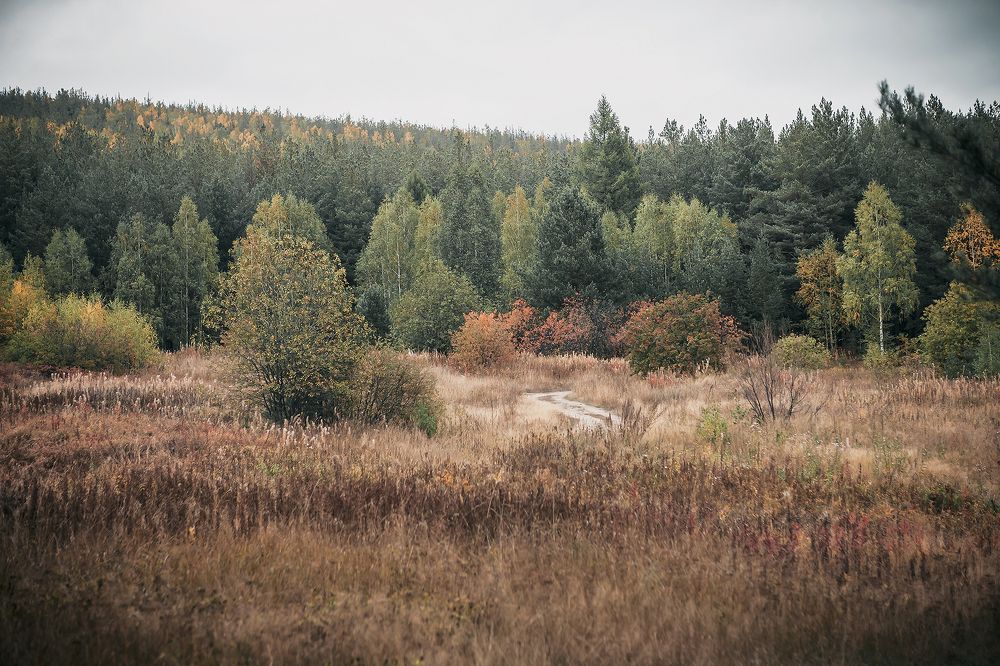 Photograph by Ivan Osipov