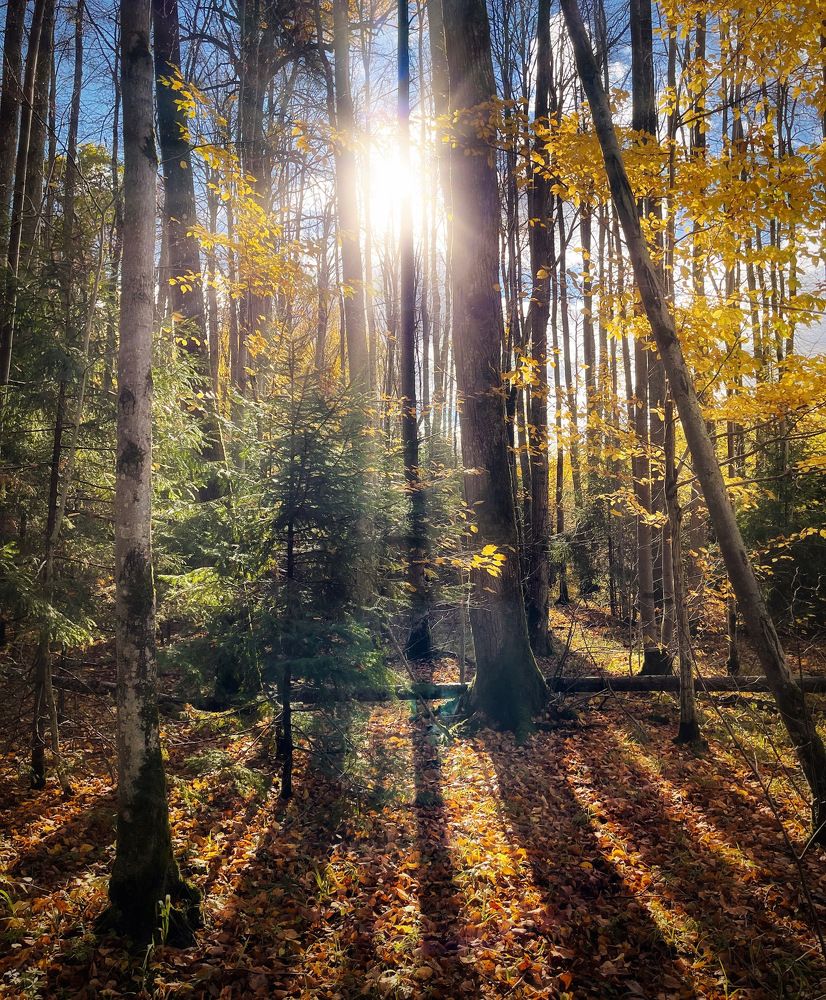 Photograph by Ирина Саакова