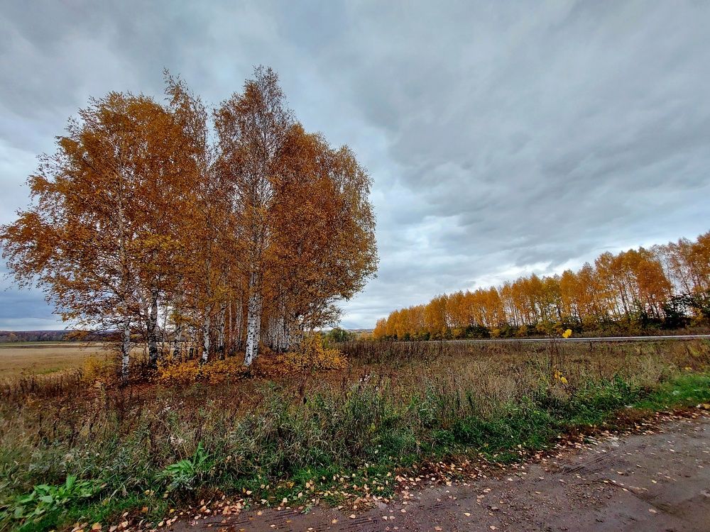 Photograph by Наталья Дубовкина