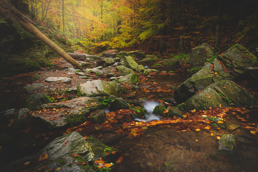 Photograph by Tomáš Jurník