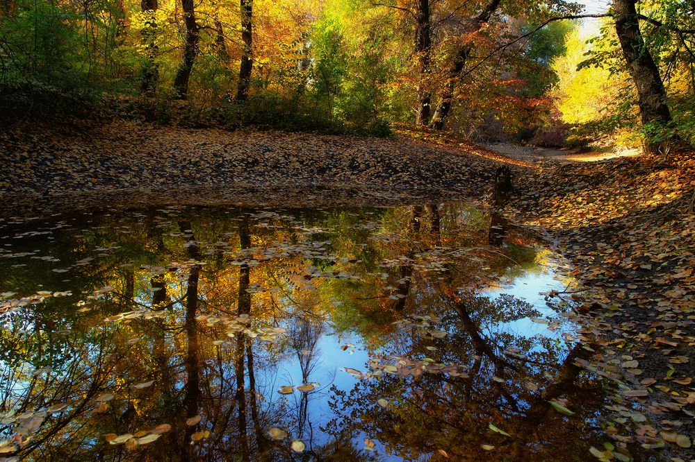 Зеркало октября