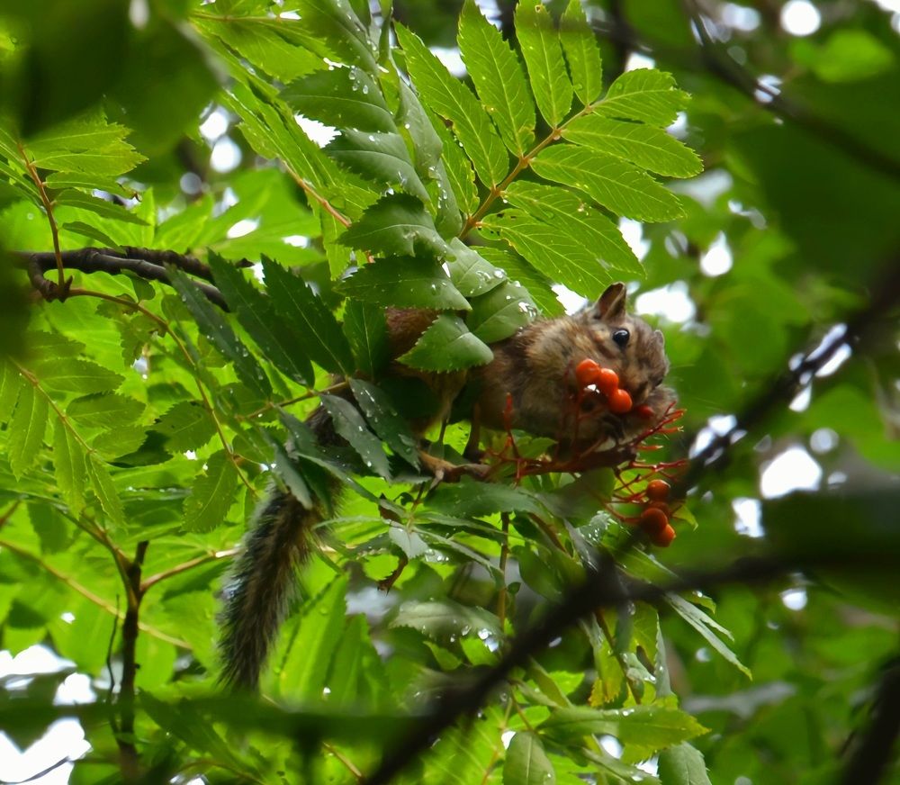 Photograph by Anna Solomina