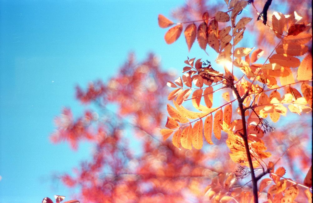 Photograph by Василий Снигирь