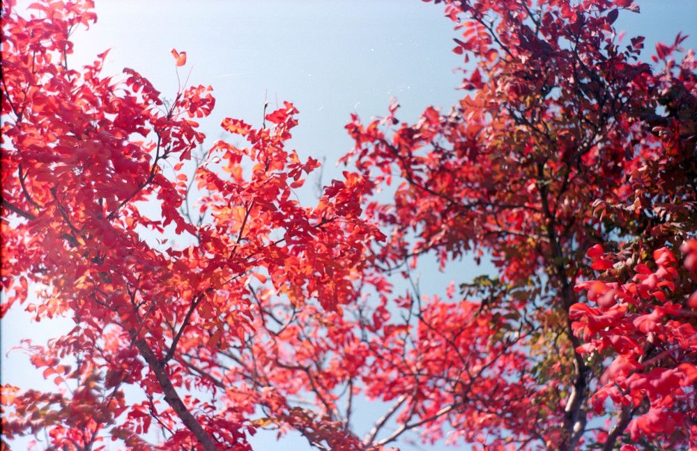 Photograph by Василий Снигирь