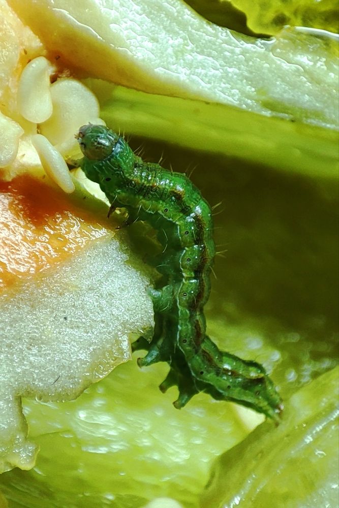 Photograph by Татьяна Рябова