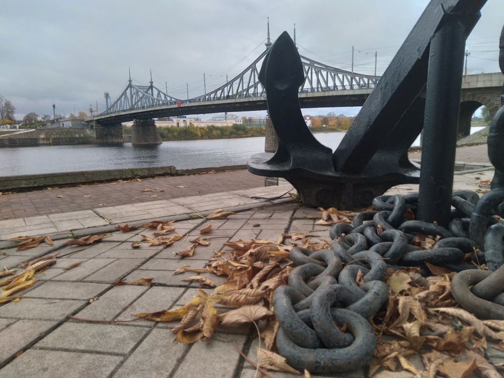 Photo #8217127