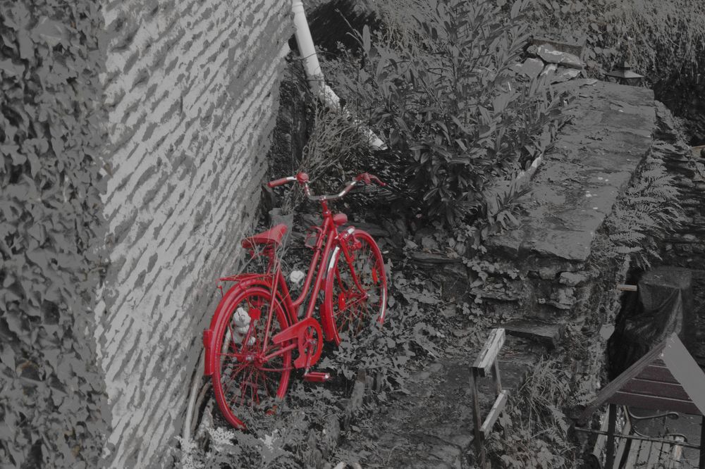 Photograph by Tonka Bleys