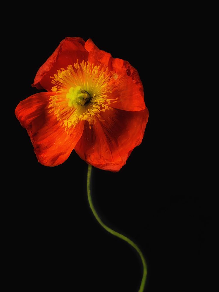 Photograph by Оксана Якименко