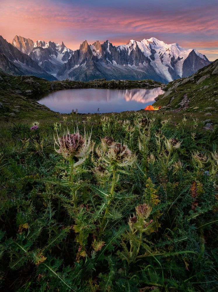 Photograph by Álvaro Pérez