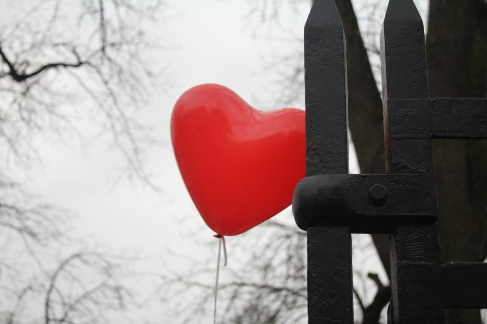 Photograph by Tonka Bleys