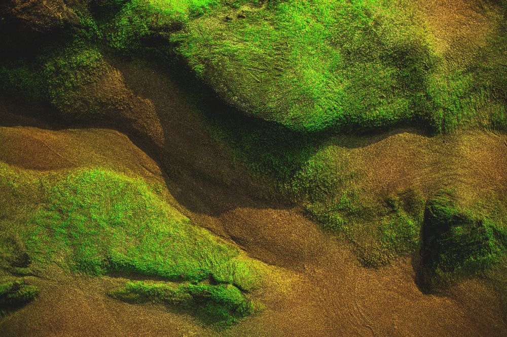 Photograph by Гуляев Виталий