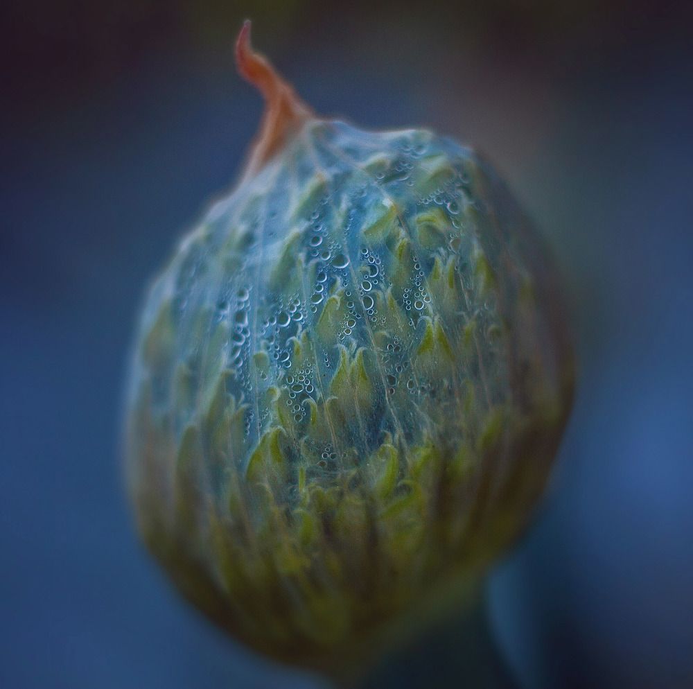 Photograph by Гуляев Виталий