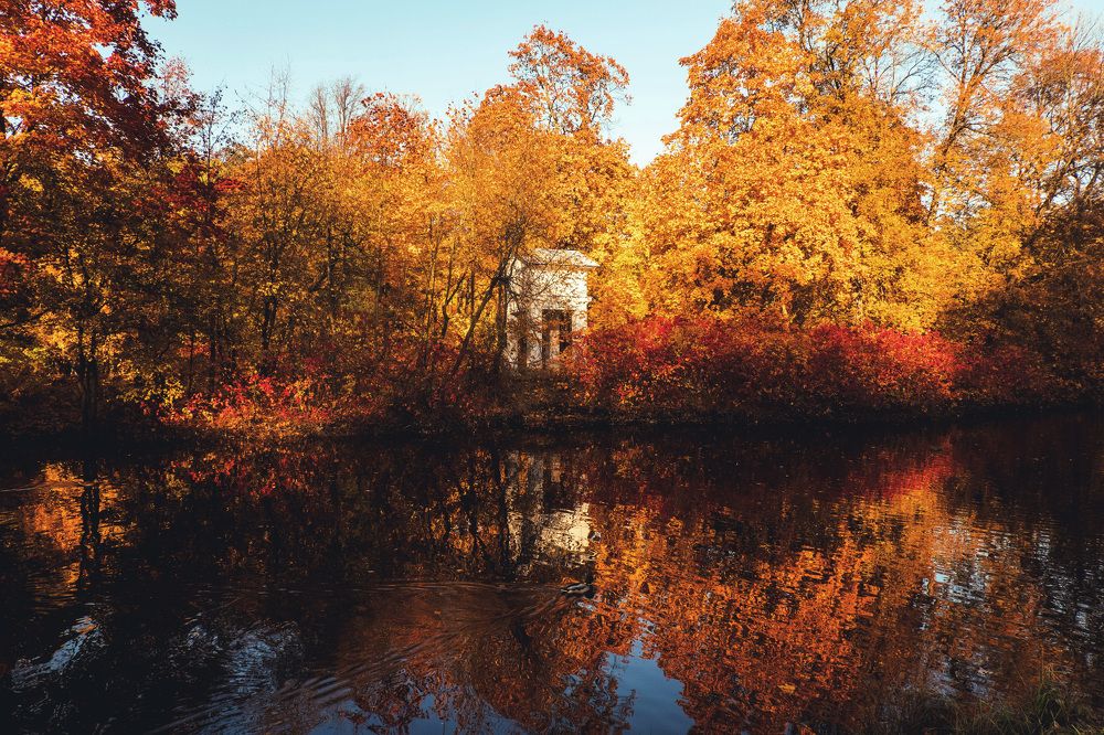 Photograph by Гуляев Виталий