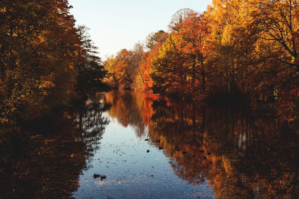 Photograph by Гуляев Виталий