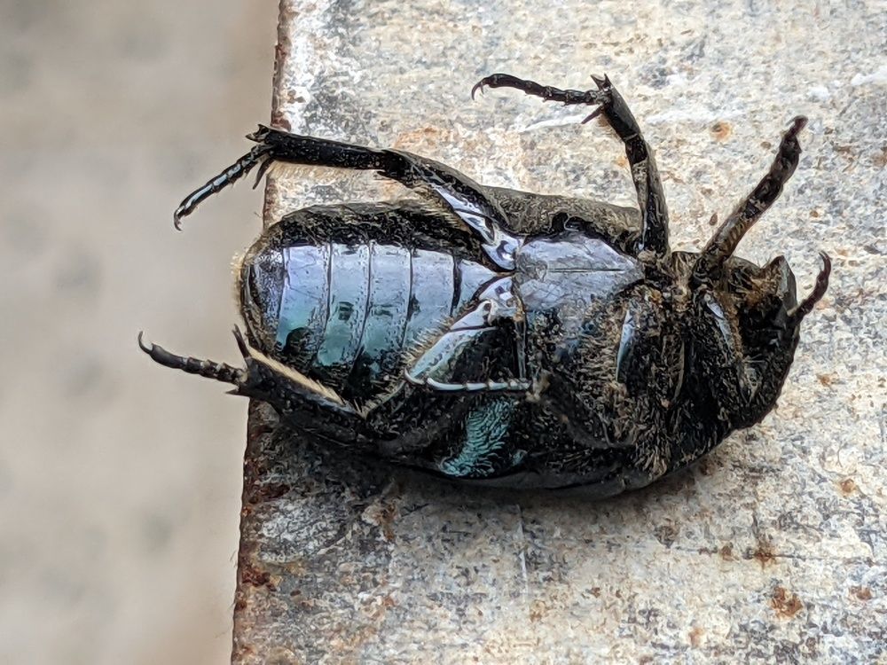 Photograph by Abdsalam Edward