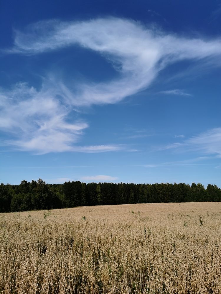 Photograph by Наталья Круглова
