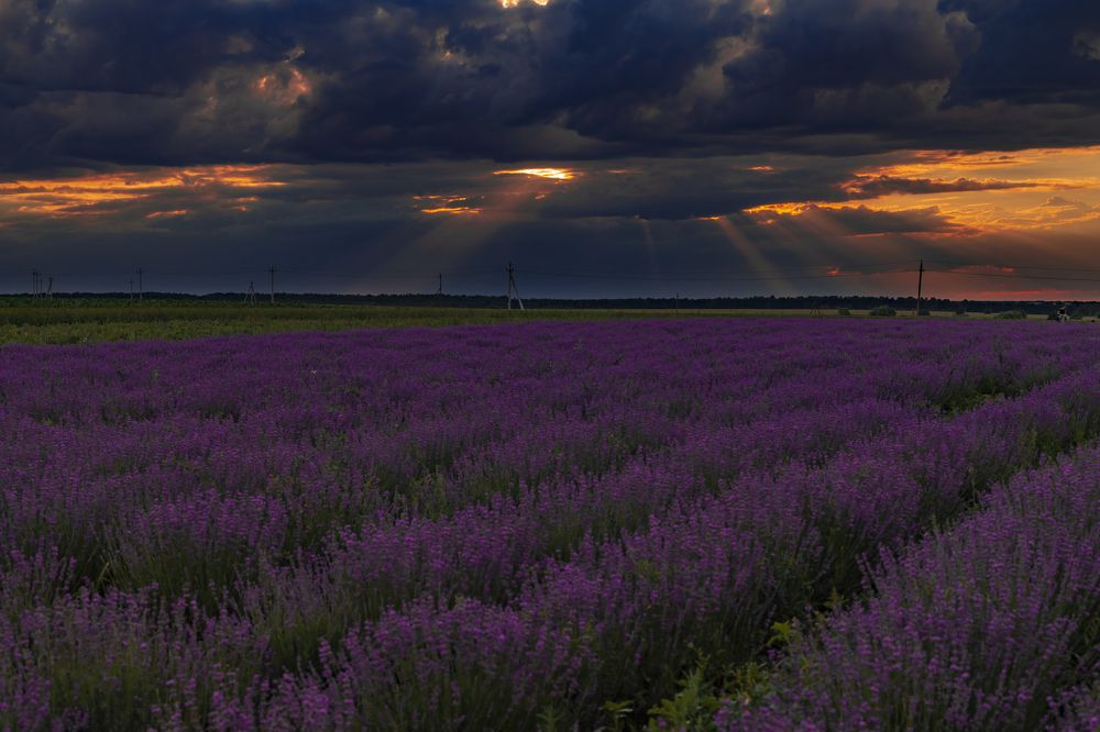 Photograph by Анастасия Малахова