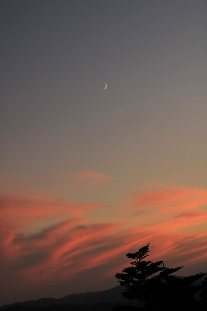 Photograph by Лазурченко Анастасия