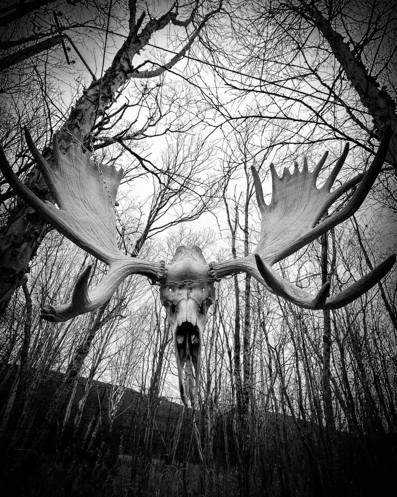 Photograph by Наталья Филатова